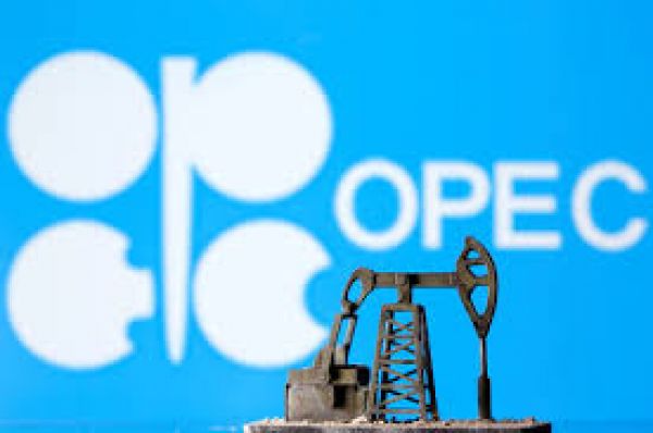 OPEC+ to further increase oil output in February