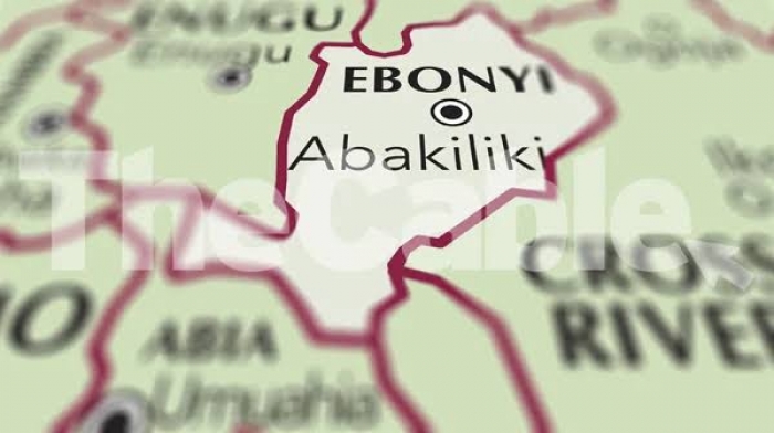 Gunmen kill 10 in attack on Ebonyi community – Police