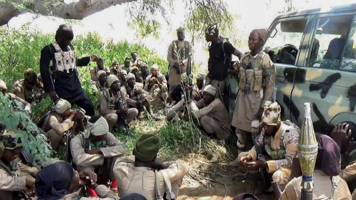 Boko Haram kills 14 farmers and vigilantes in Borno