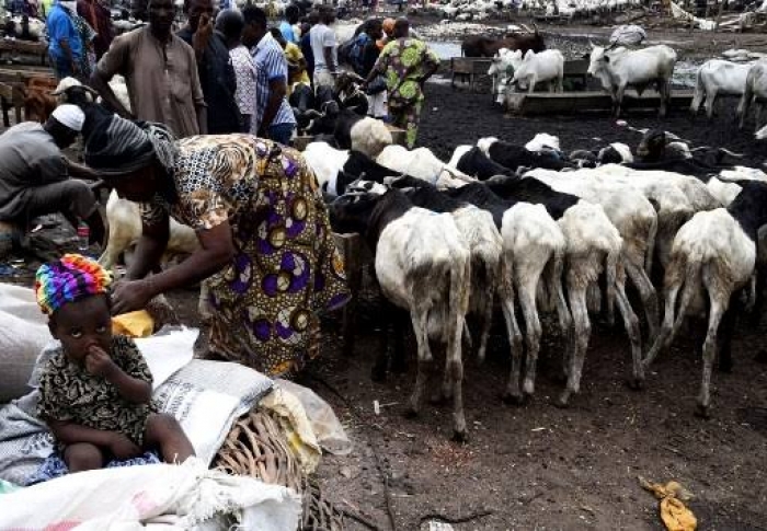 ‘I’ve slaughtered a ram yearly starting from 1976 but this year I can't, I just can't’, Nigerian Muslims lament the ‘driest’ Sallah in a generation