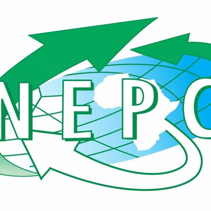 Nigeria's non-oil exports increased 25% to $1.79bn in Q1 2025 - NEPC
