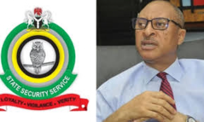 DSS sues Pat Utomi over shadow government plan