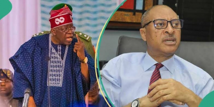 Pat Utomi forms ‘shadow government’. These are the members and what they’ll do
