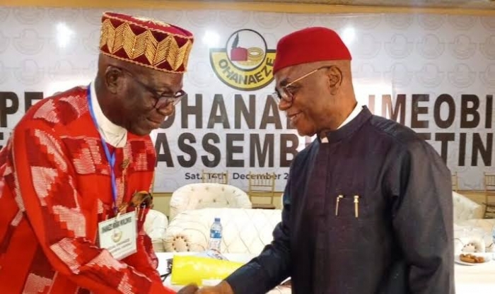 Ohanaeze Ndigbo gets interim President-General