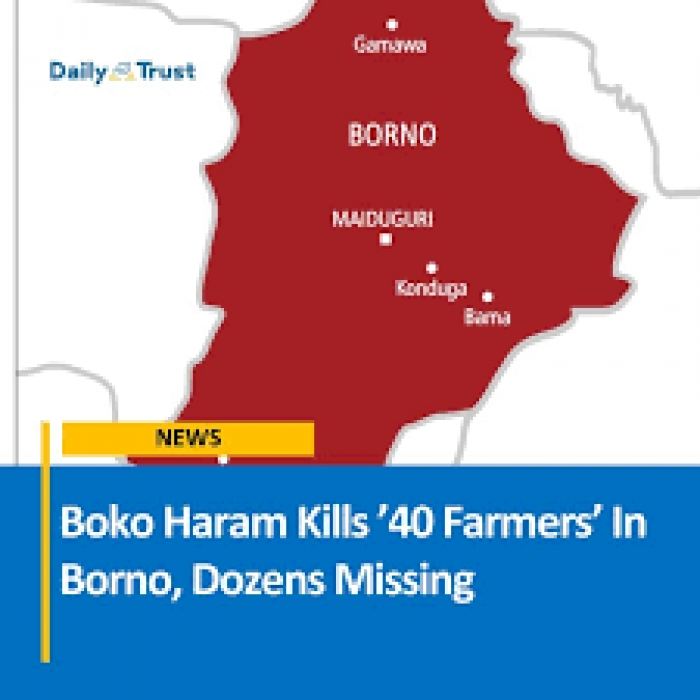 Boko Haram terrorists kill at least 40 farmers in Borno state