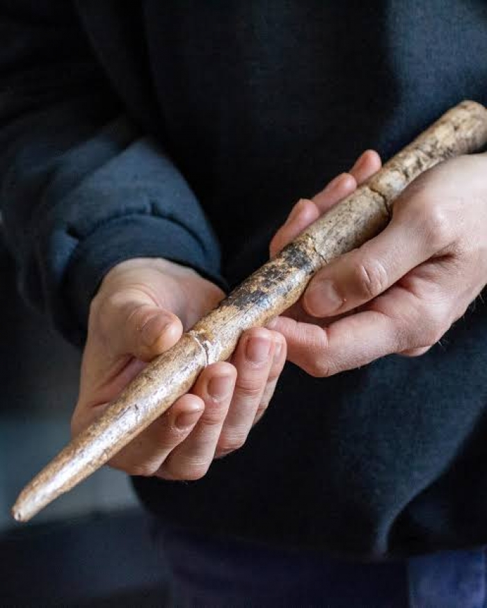 Tools made of whale bones reveal inventiveness of prehistoric people