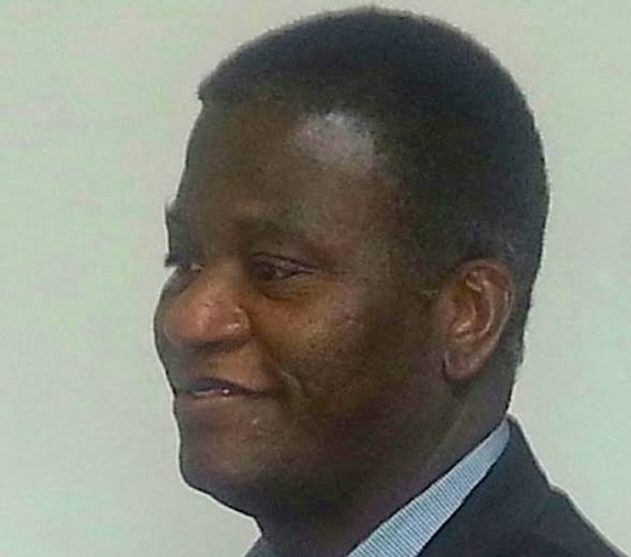 Coming soon: Compulsory voting for APC - Solana Olumhense