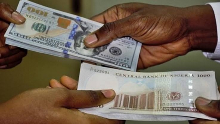 Naira’s fall continues, reaches new low at parallel market