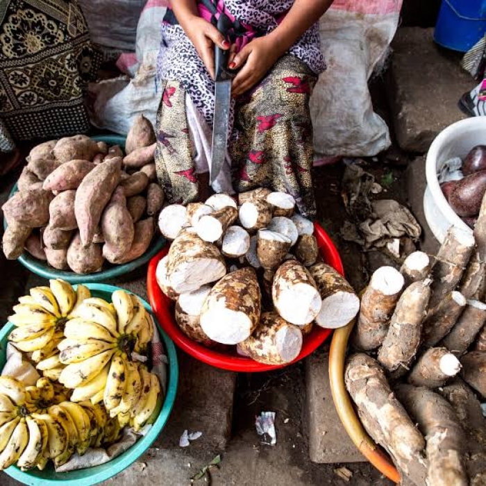 African diet – plantains and cassava can be as healthy as tomatoes and olive oil, say researchers