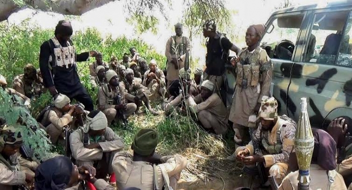 ISWAP terrorists kill 25 in Borno, residents say