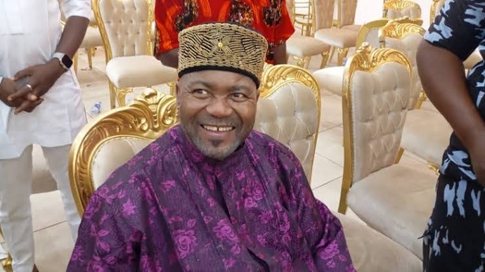 Ohanaeze Ndigbo gets new President-General