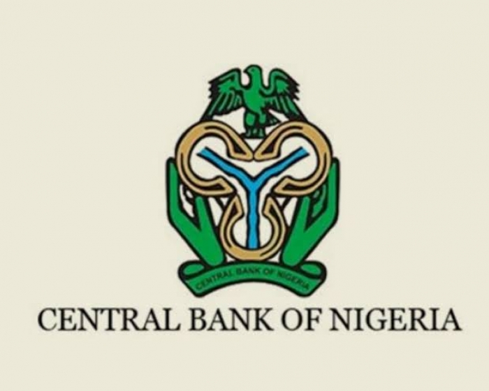 CBN holds interest rate steady for first time in 3 years