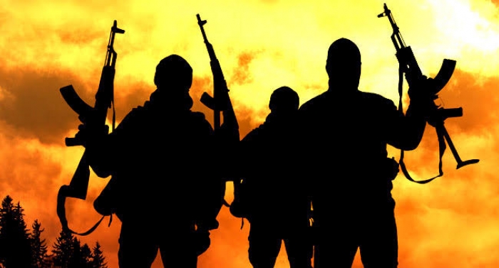 61 killed in fresh bandit attacks, communal clash in Benue