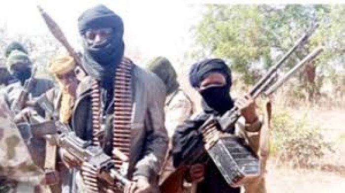 Lakurawa terrorists kill telecom officials in Kebbi