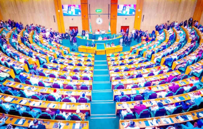 N’assembly padded 2025 budget with projects worth N6.9trn - BudgIT