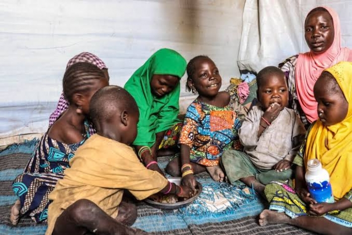 FG, UN launch $159m plan to address food insecurity in Northeast Nigeria