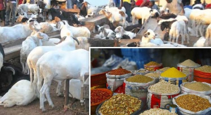 Hardship: Nigerians face most expensive Sallah in a generation as prices of ram, foodstuffs skyrocket  