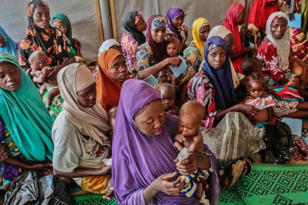 There are ‘extraordinarily high numbers of children with malnutrition in Northwest Nigeria’ - MSF