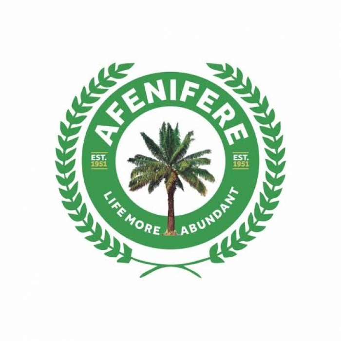 Planned protest organic reaction to Tinubu’s economic policies - Afenifere