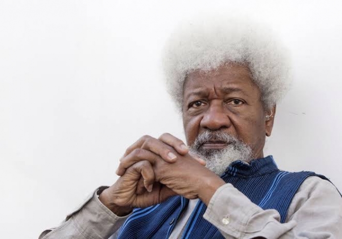 A visitation and the allure of ‘reconciliation’ - Wole Soyinka