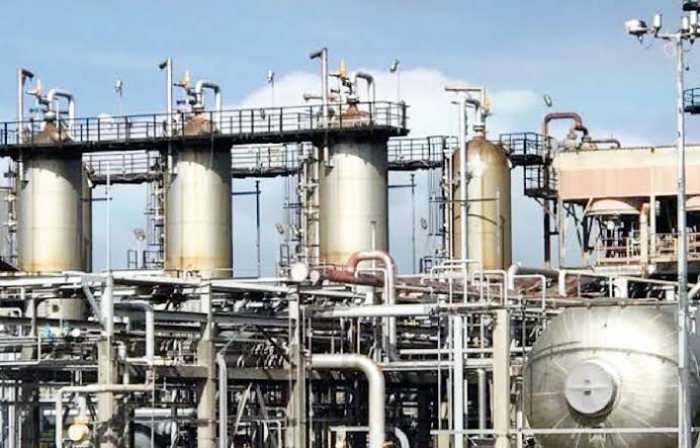 FG grants gas distribution licences to 6 companies