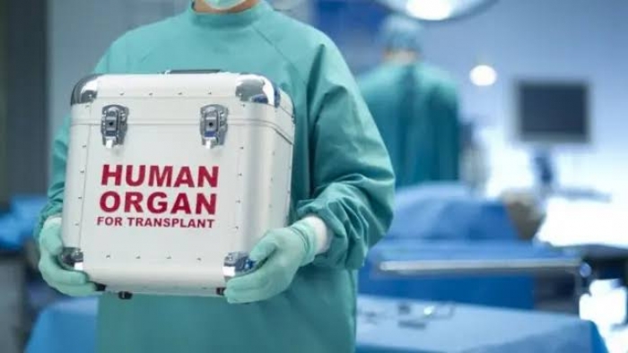 FG sets organ transplant rules to fight exploitation, echoes Ekweremadu case