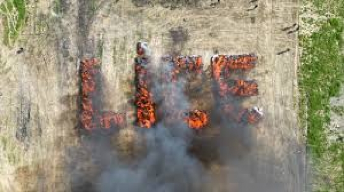 Town residents involutarily get high after Police burn 20 tons of confiscated cannabis