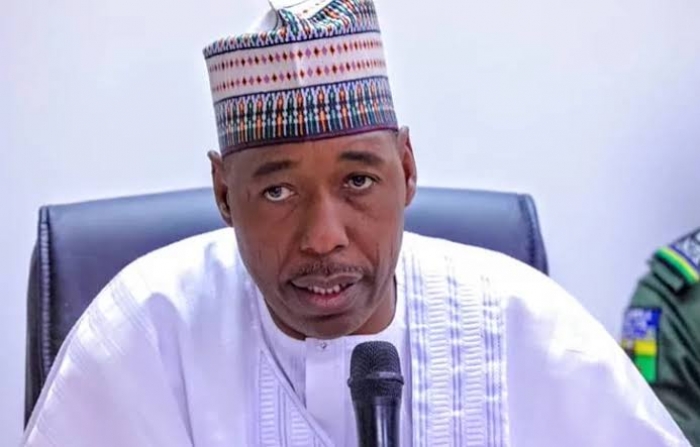 At least 20,000 flee insurgency-hit town in Borno, governor says