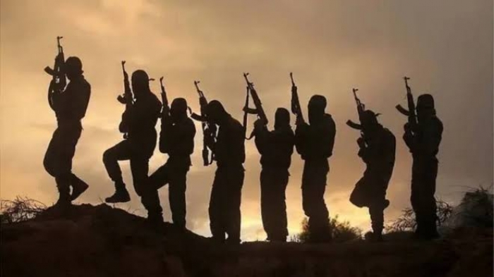 New terrorist group, Mahmuda kills 3, seizes control of Kwara, Niger communities