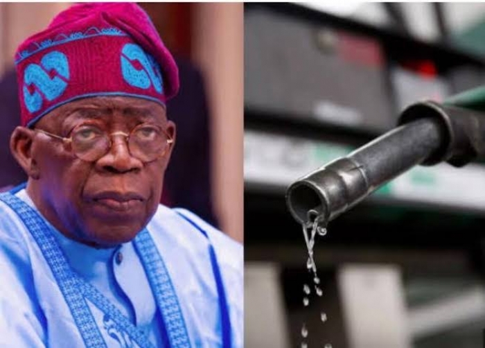 With the latest hike, petrol prices have risen 411% since Tinubu became president. This is what Nigerians are saying